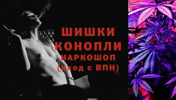 стафф Дмитров