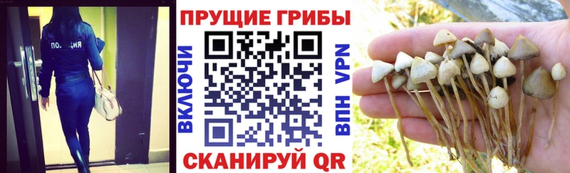 Купить закладки  Невьянск  Псилоцибиновые грибы мухоморы 